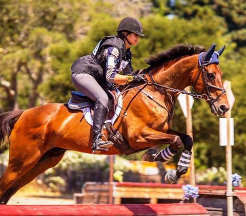 14446104_1151568288258767_8791062613440140114_n