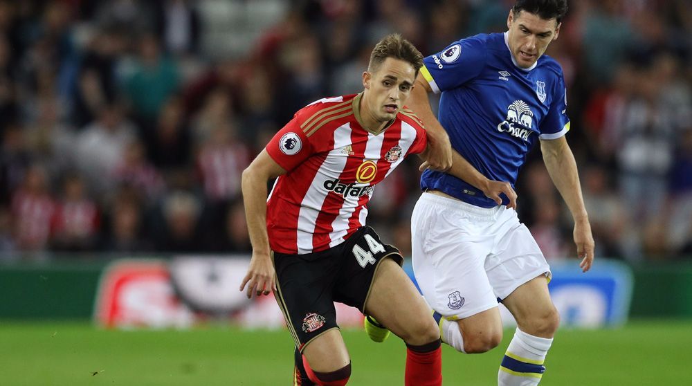 644641-adnan-januzaj