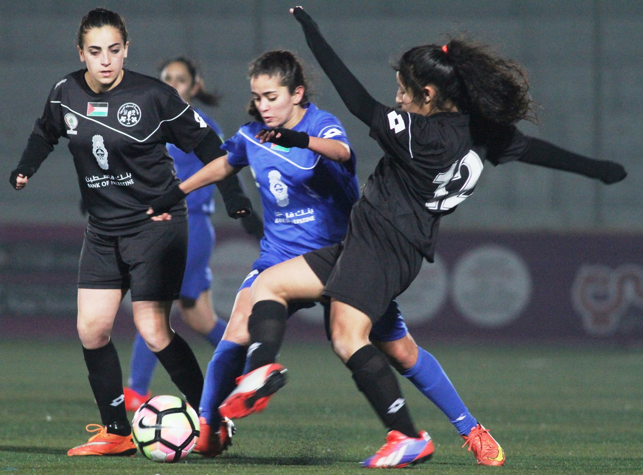 16587114_1419473261407951_7064100727276863911_o